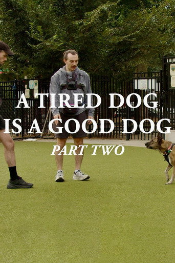 Movie poster for A Tired Dog is a Good Dog, Part Two (2025)