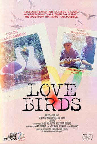 Movie poster for Love Birds (2025)