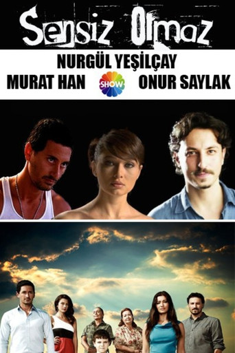 Sensiz Olmaz poster