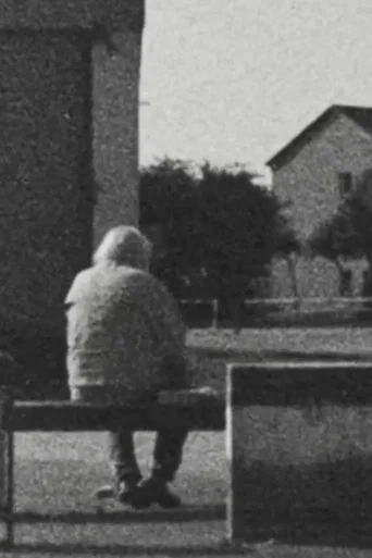 Movie poster for The B-side of the Landscape (2026)