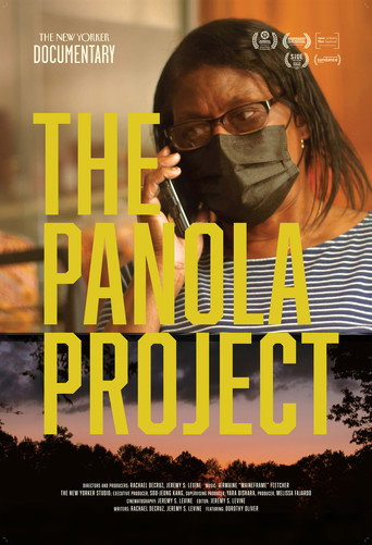 Movie poster for The Panola Project (2022)
