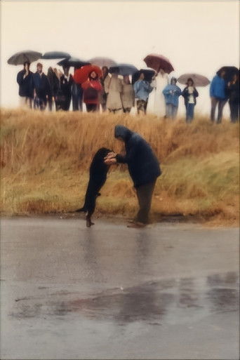 Strada provinciale delle Anime poster