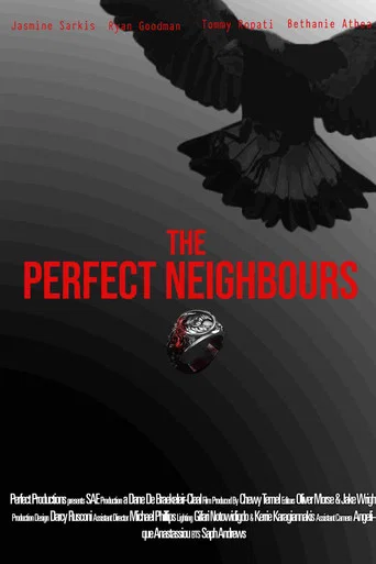 Movie poster for The Perfect Neighbours
