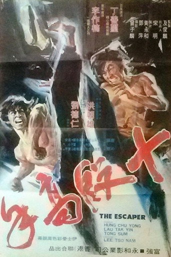 Movie poster for The Escaper (1973)