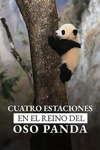 Movie poster for Four Seasons in the giant Panda’s kingdom (2022)