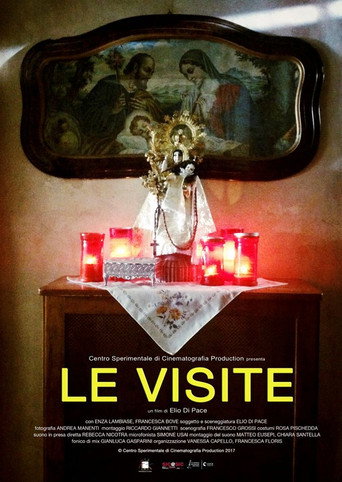 Movie poster for Visiting Day (2017)
