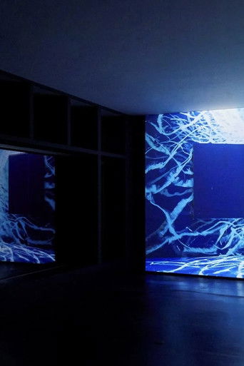 Where Light Falls poster