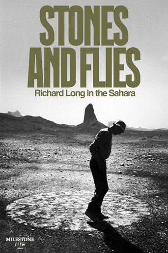 Stones and Flies: Richard Long in the Sahara poster