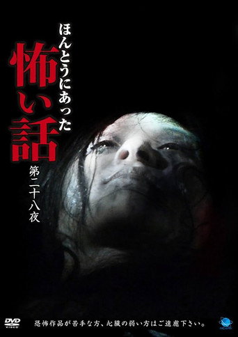 Movie poster for Scary True Stories: Night 28 (2014)