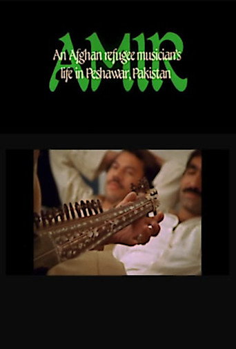 Movie poster for Amir: An Afghan Refugee Musician's Life in Peshawar, Pakistan (1985)