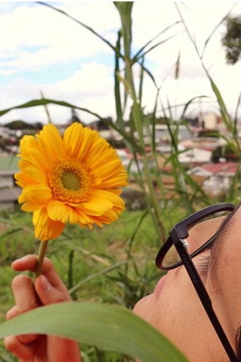 Movie poster for Pétalos del sol (2019)