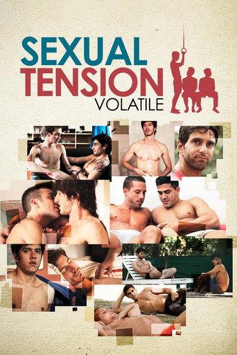 Movie poster for Sexual Tension: Volatile (2012)