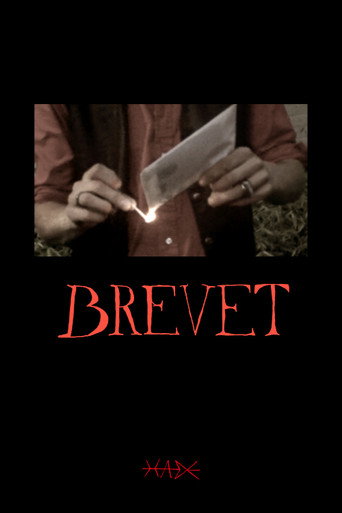 Movie poster for The Letter (2024)