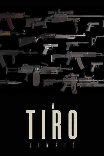 Movie poster for A tiro limpio (2013)