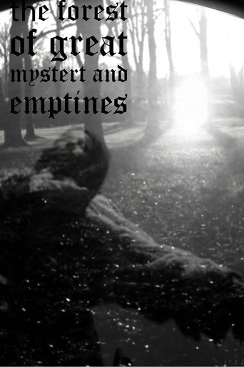Movie poster for the forest of great mystery and emptiness