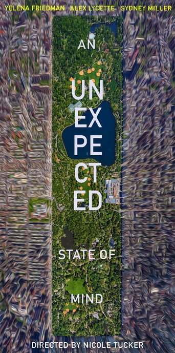 Movie poster for An Unexpected State of Mind (2019)
