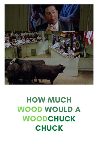 Movie poster for How Much Wood Would a Woodchuck Chuck (1976)