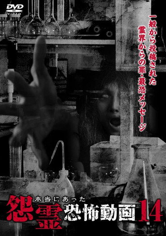 Movie poster for Real Vengeful Ghost Horror Video 14 (2015)