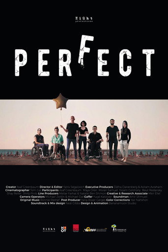 Series poster for Perfect (2020)