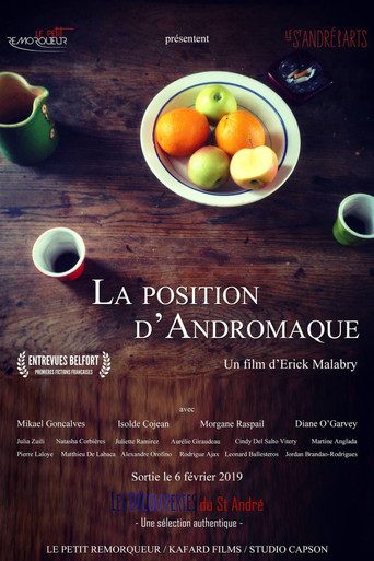 Movie poster for La Position d'Andromaque (2019)
