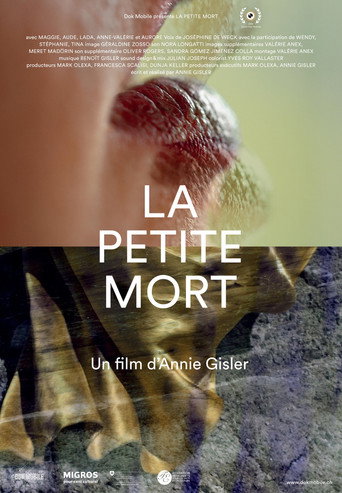 Movie poster for The Little Death (2019)