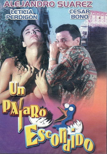 Un pájaro escondido poster