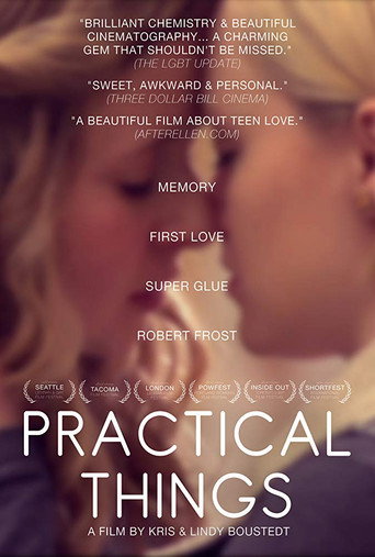 Movie poster for Practical Things (2013)