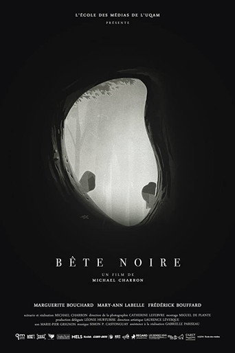 Bête noire poster