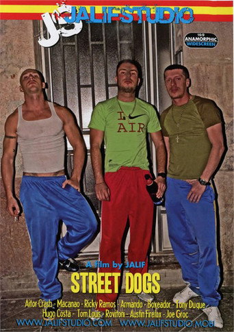Movie poster for Street Dogs (2009)