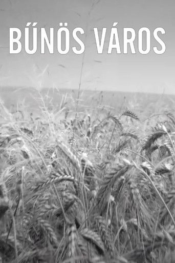 Bűnös Város poster