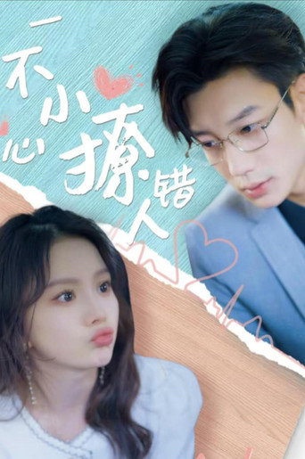 一不小心撩错人 poster