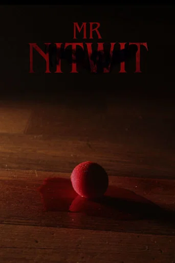 Movie poster for Mr Nitwit (2026)