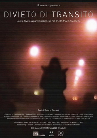 Movie poster for Forbidden Transit (2020)