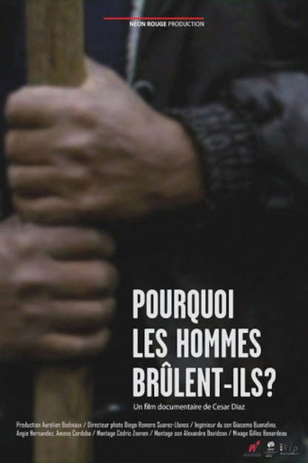 Pourquoi les hommes brûlent-ils? poster
