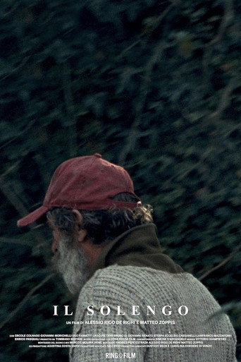 Movie poster for Il solengo (2016)