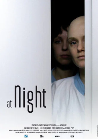 Movie poster for At Night (2007)
