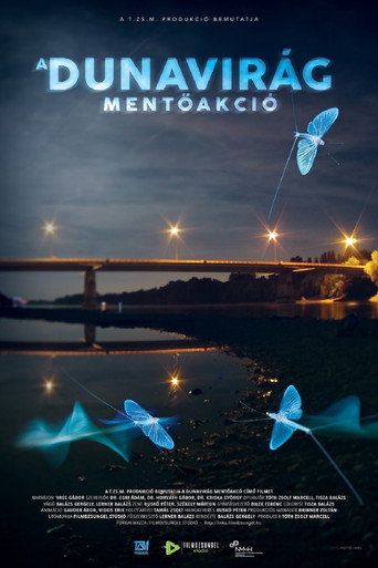 Movie poster for Operation Mayfly (2017)