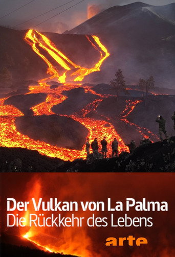 Movie poster for Der Vulkan von La Palma - Die Rückkehr des Lebens (2022)