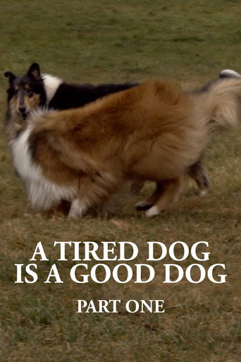 Movie poster for A Tired Dog is a Good Dog, Part One (2022)