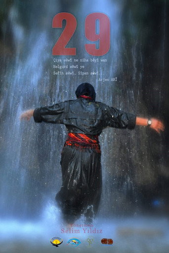 Movie poster for 29 (2014)
