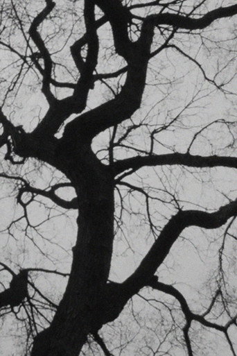 Movie poster for The Tree (2019)