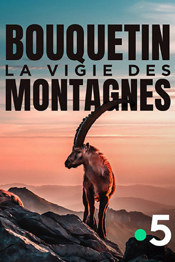Movie poster for Bouquetin, la vigie des montagnes (2024)