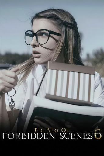 The Best of Forbidden Scenes 6 poster