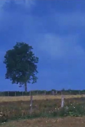 Movie poster for Dehors (1985)