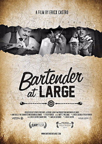 Movie poster for Bartender At Large (2017)