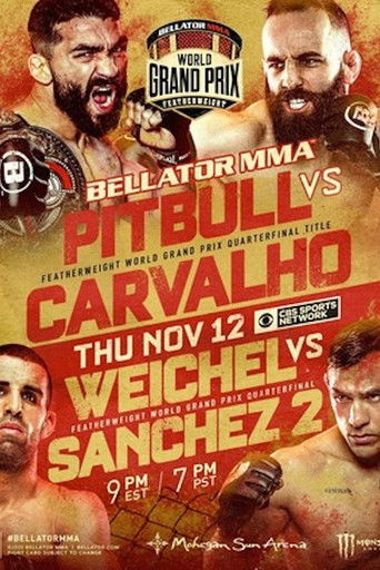 Bellator 252: Pitbull vs. Carvalho poster
