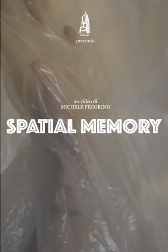Spatial Memory poster