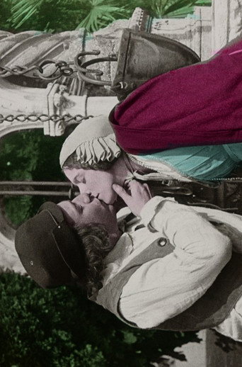 Movie poster for Il sire di Vincigliata (1913)