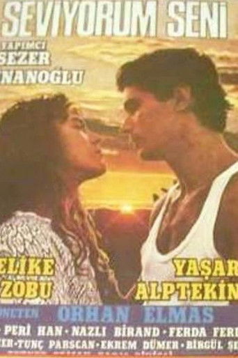 Seni Seviyorum poster