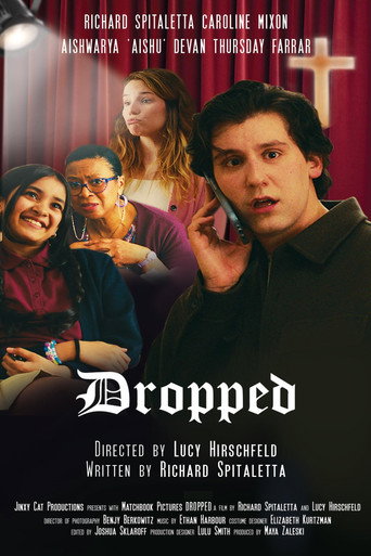 Movie poster for Dropped (2024)